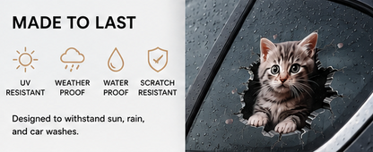 Cat-titude™ Mischief Car Sticker 😼 (Pack of 1)